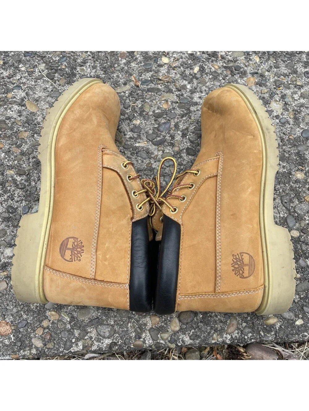 Timberland Chukka New Buck Leather Weatherproof Boot Mens 8.5